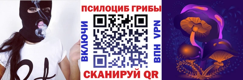 что такое наркотик  Енисейск  дарк нет как зайти  Псилоцибиновые грибы прущие грибы 